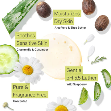 Tree to Tub con aloe orgánico y bayas de jabón silvestres para cuidado natural.