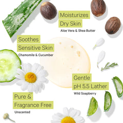 Tree to Tub con aloe orgánico y bayas de jabón silvestres para cuidado natural.