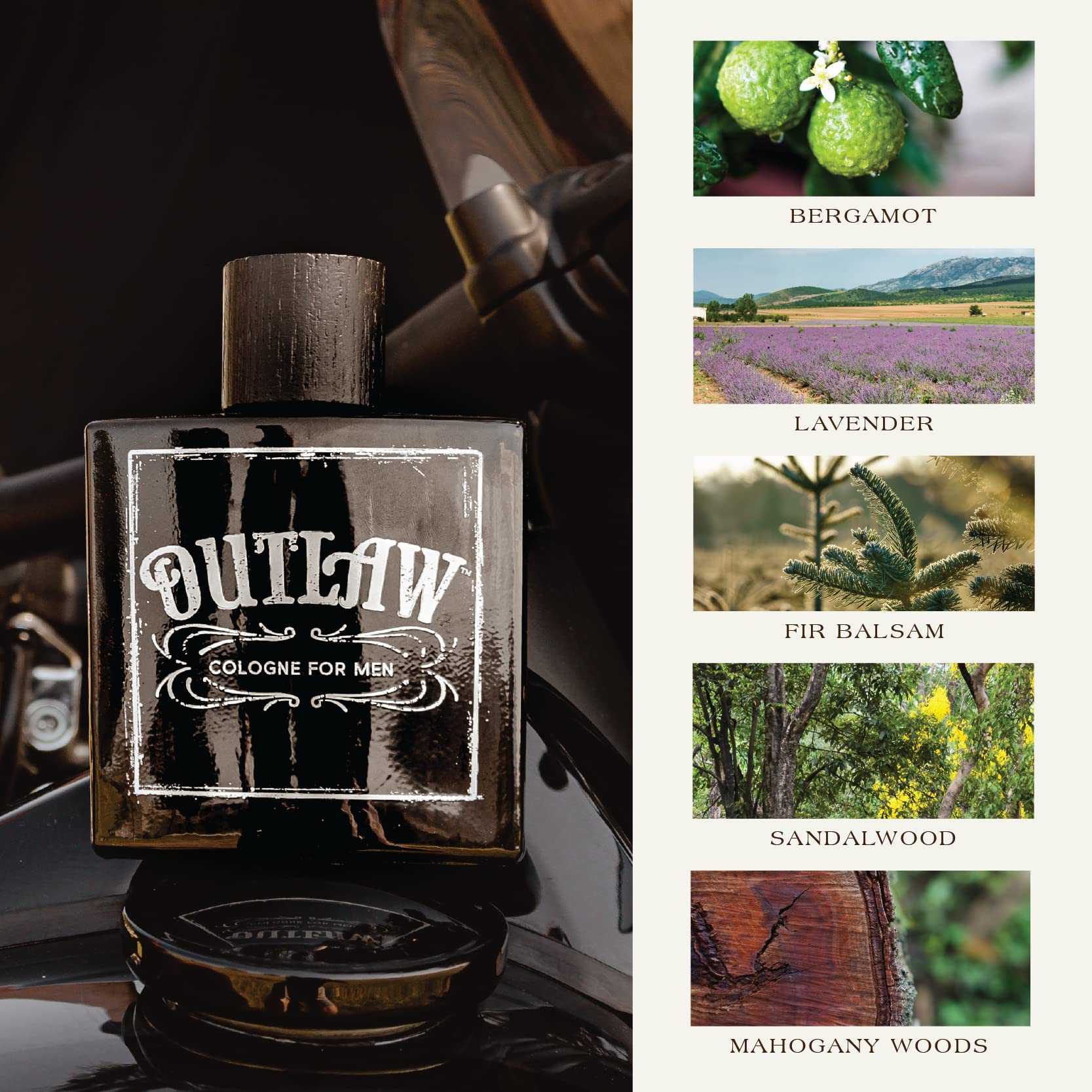 Outlaw de Tru Fragrance Beauty, pulverizador en spray para uso diario