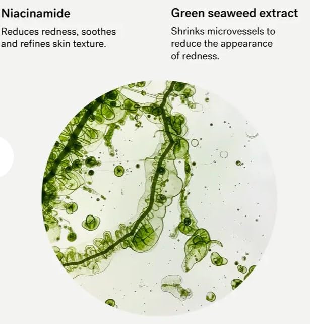 Typology ENTEL Ginseng masque cadeau, soin peau terne en Corée