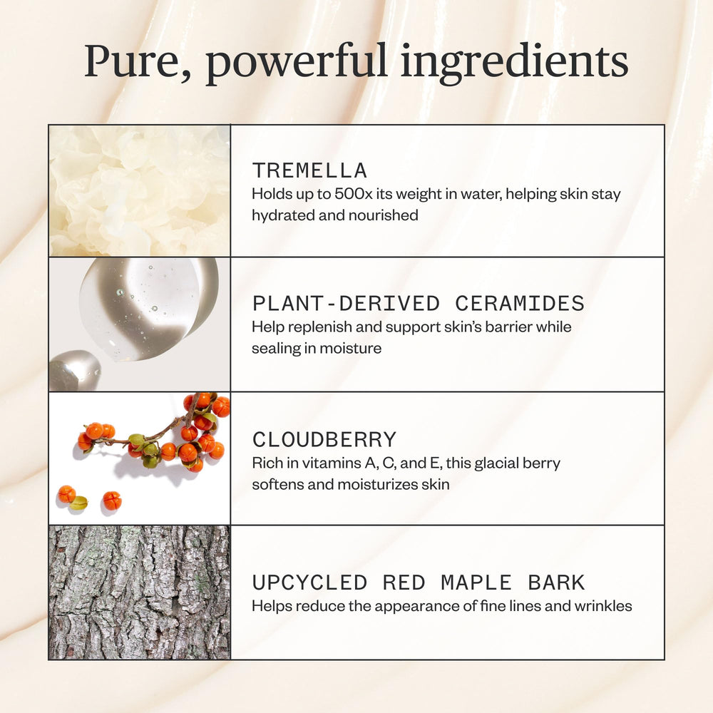 Ursa Major Alpine Rich Cream, aplicación de día para piel luminosa y protegida.