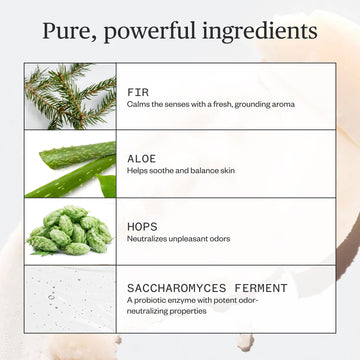 Ursa Major desodorante: ingredientes naturales para cuidado de la piel.