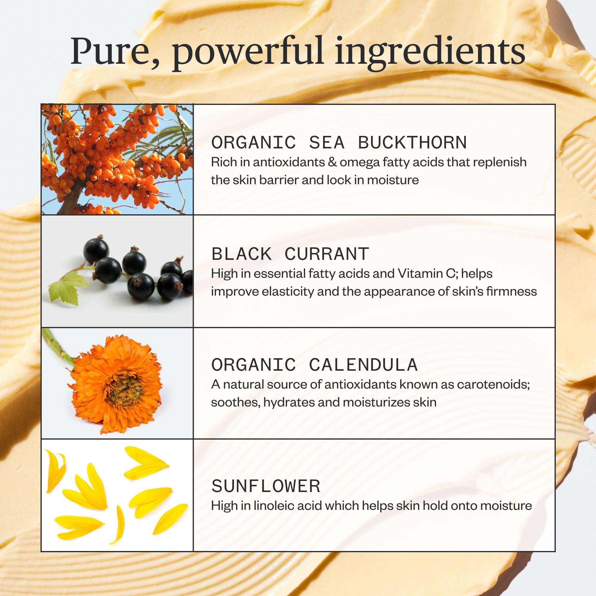 Ursa Major Golden Hour ingredientes naturales y veganos para la piel