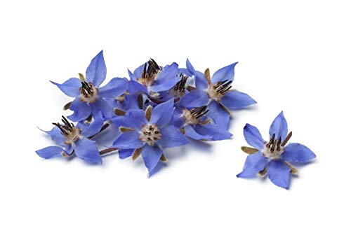 US Organic Aceite de Borago, gotero práctico para dosis precisas cada uso