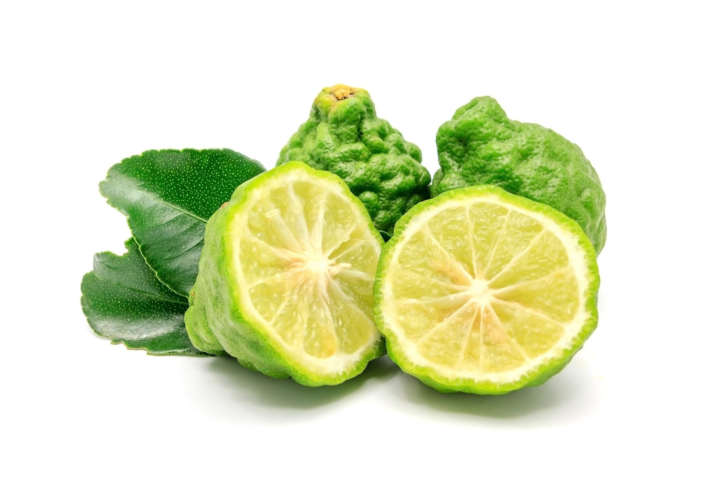 US Organic Bergamot: etiqueta certificada USDA en envase de 10 ml