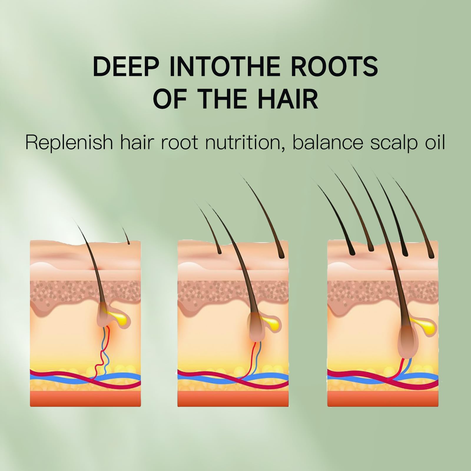 Venrock uso en distintos tipos de pelo: adecuado para rizos, liso y más.
