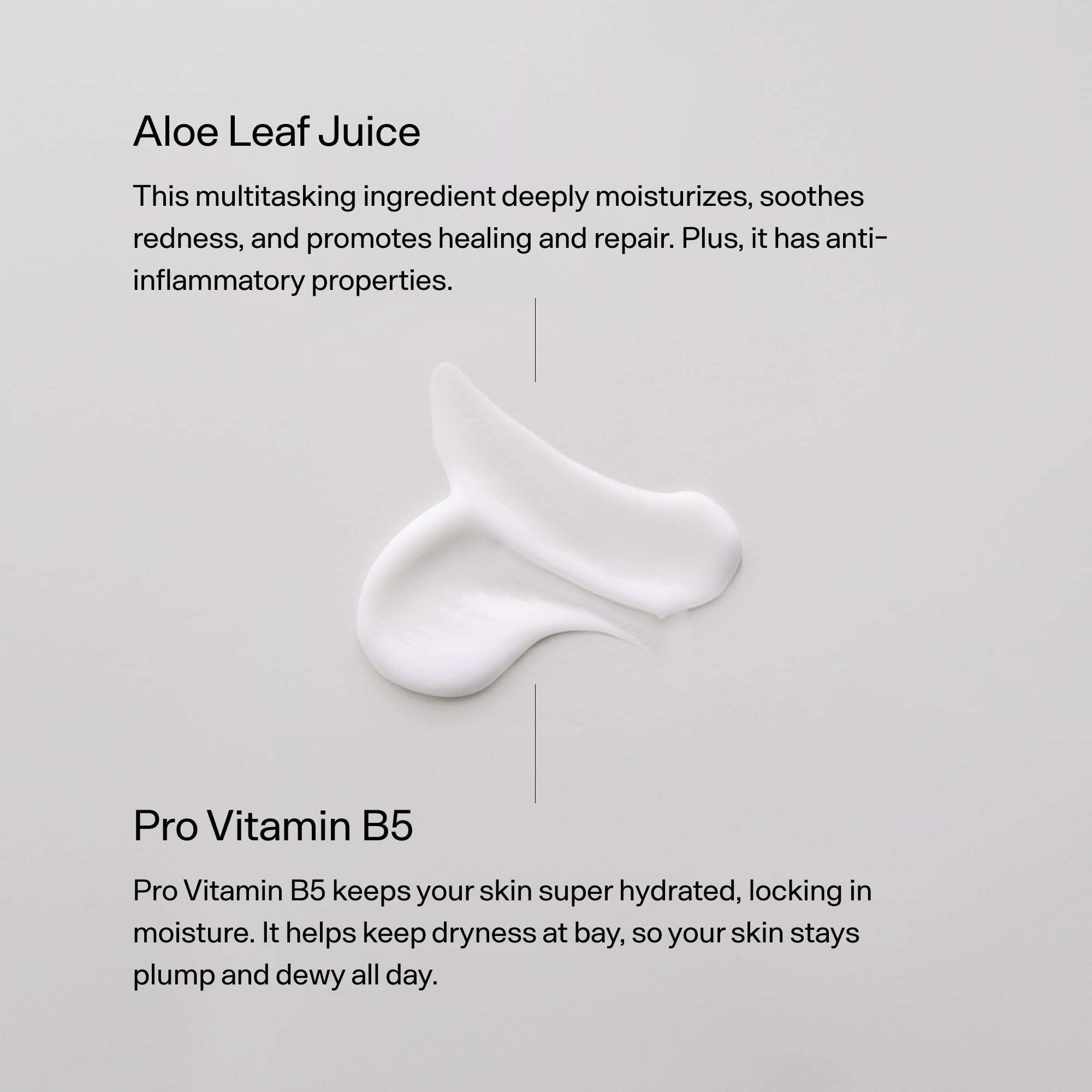 Versed aloe vera jugo presente ayuda a calmar y mantener la hidratación.