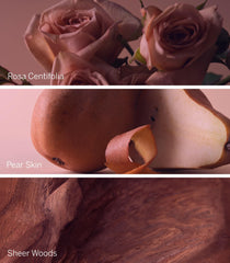Victoria's Secret Bare Rose mist close-up emphasizes pear skin notes for daily use.