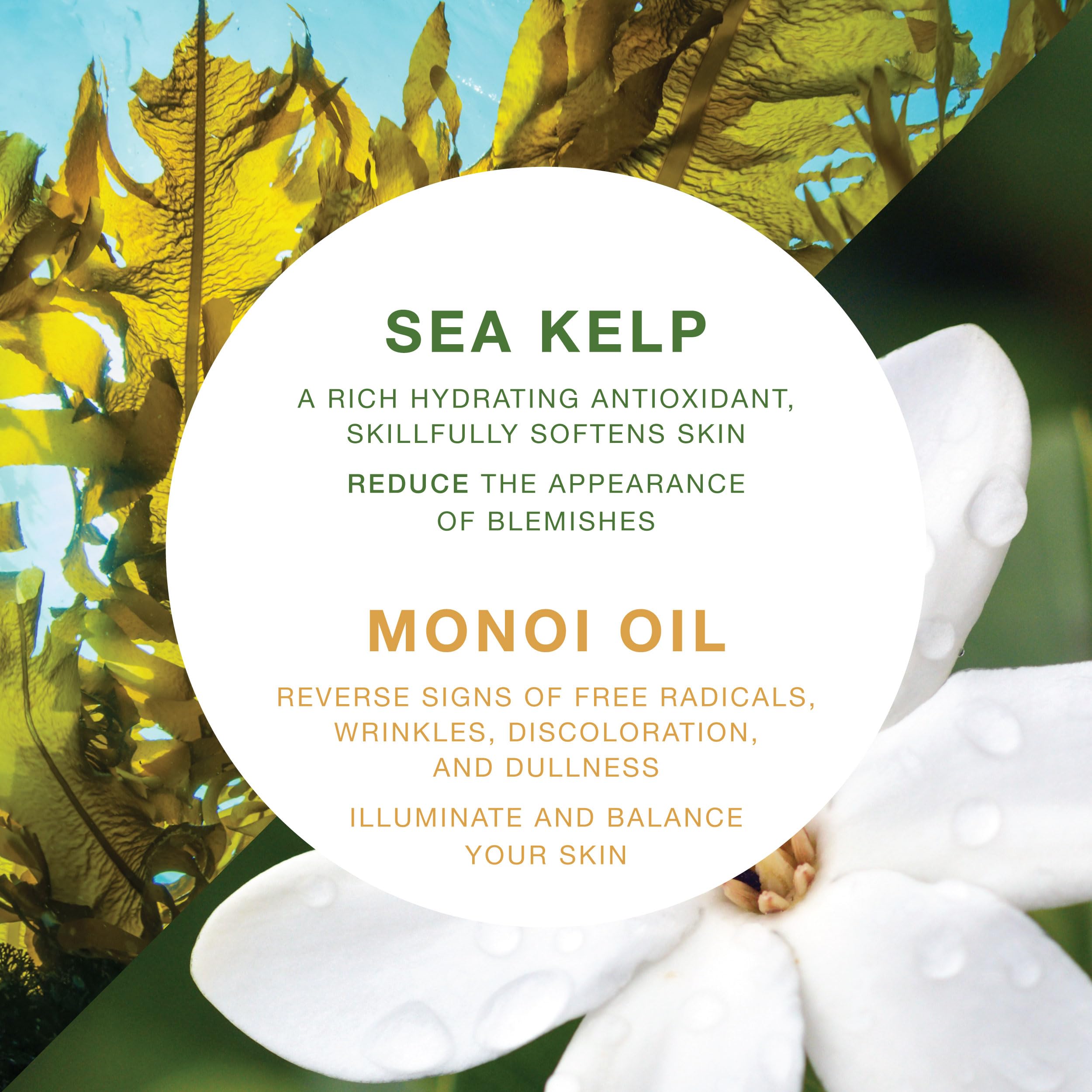 VITAMINS AND SEA BEAUTY aceite de monoi nutre y suaviza la piel