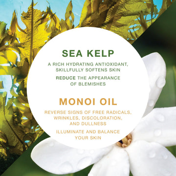 VITAMINS AND SEA BEAUTY aceite de monoi nutre y suaviza la piel