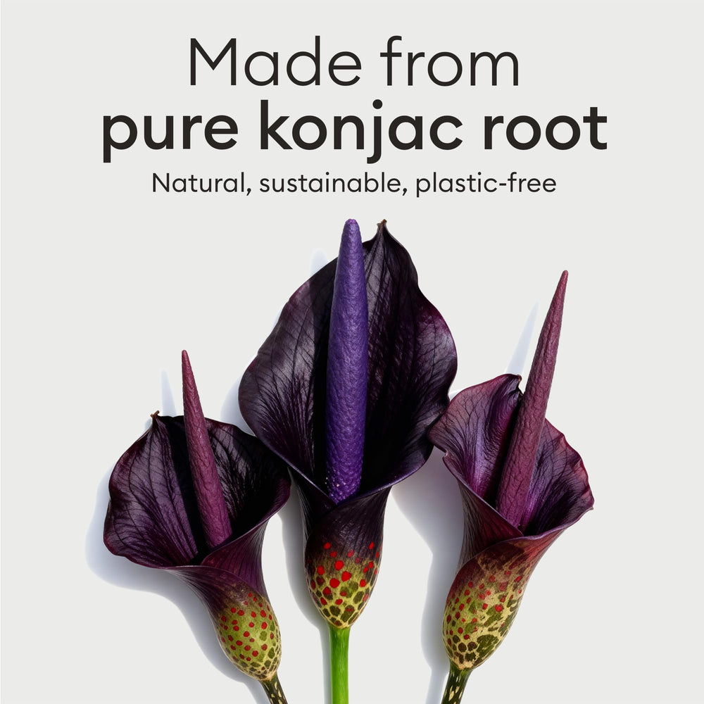Vove Konjac: envase FSC que respeta el planeta.