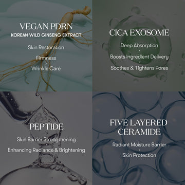 Absorción rápida de VT COSMETICS PDRN Cica Exosome Ampoule lista para maquillaje