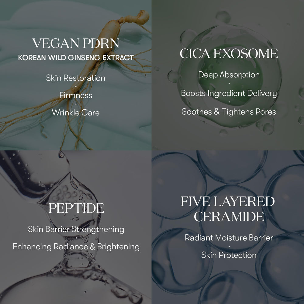 Absorción rápida de VT COSMETICS PDRN Cica Exosome Ampoule lista para maquillaje