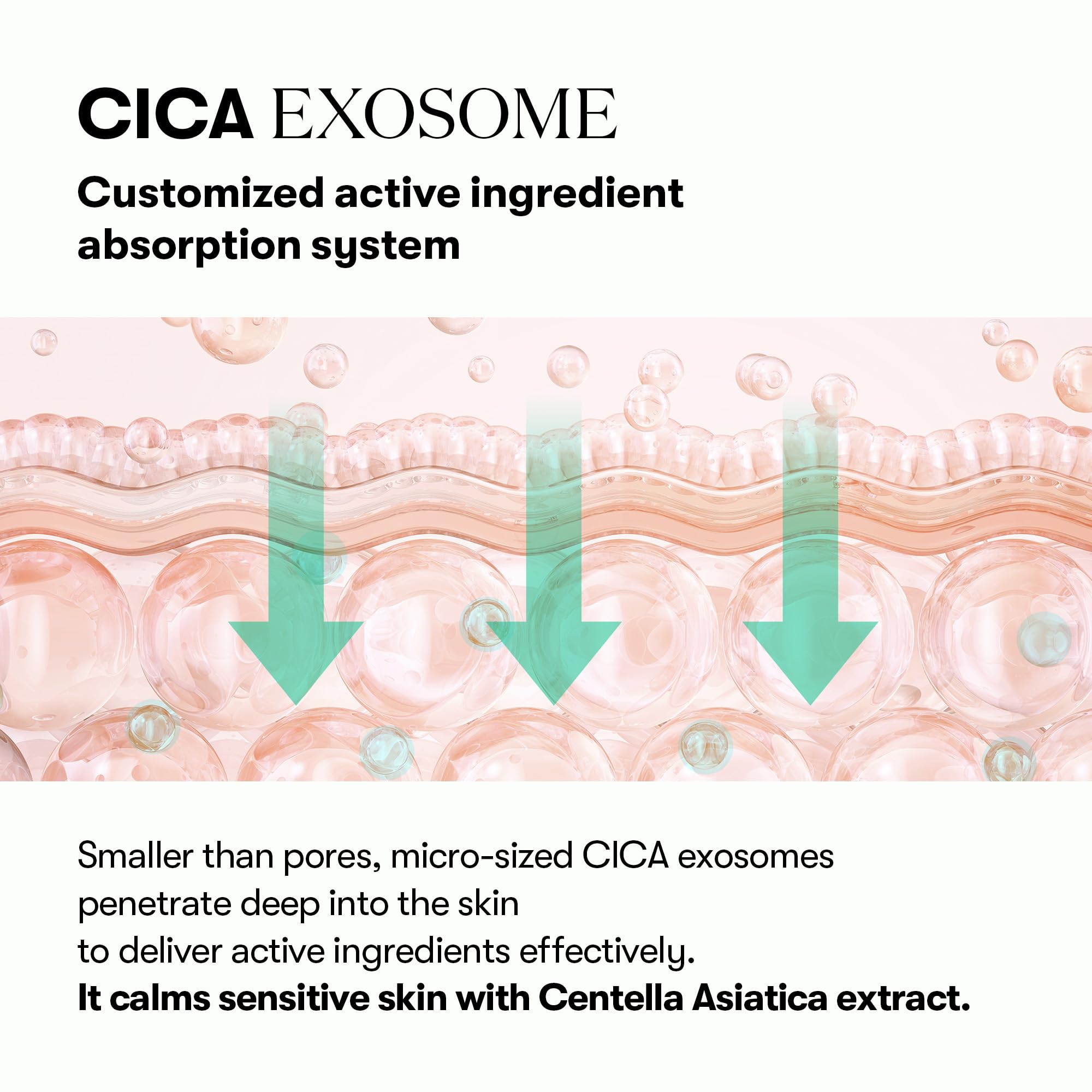 Hidratación profunda y barrera fortalecida con VT COSMETICS PDRN Cica Exosome Ampoule