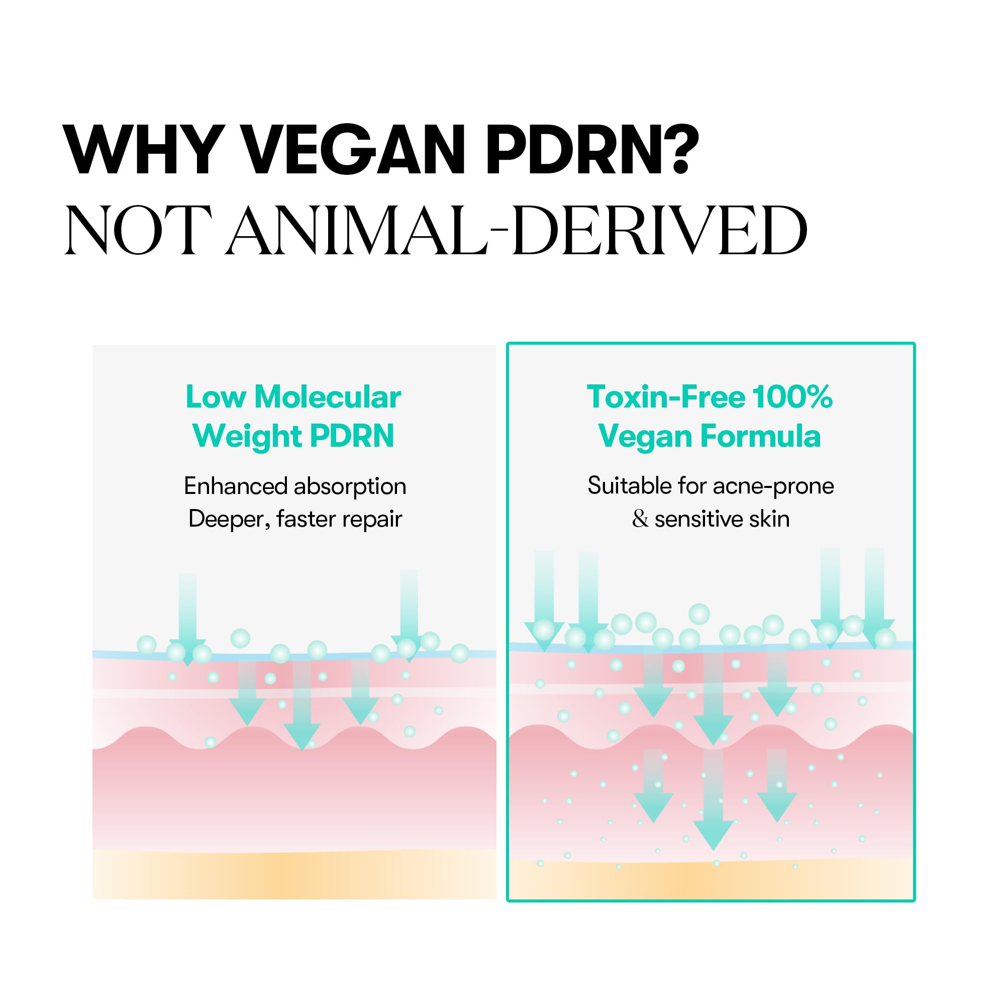 VT COSMETICS Regenera y mejora elasticidad con PDRN.