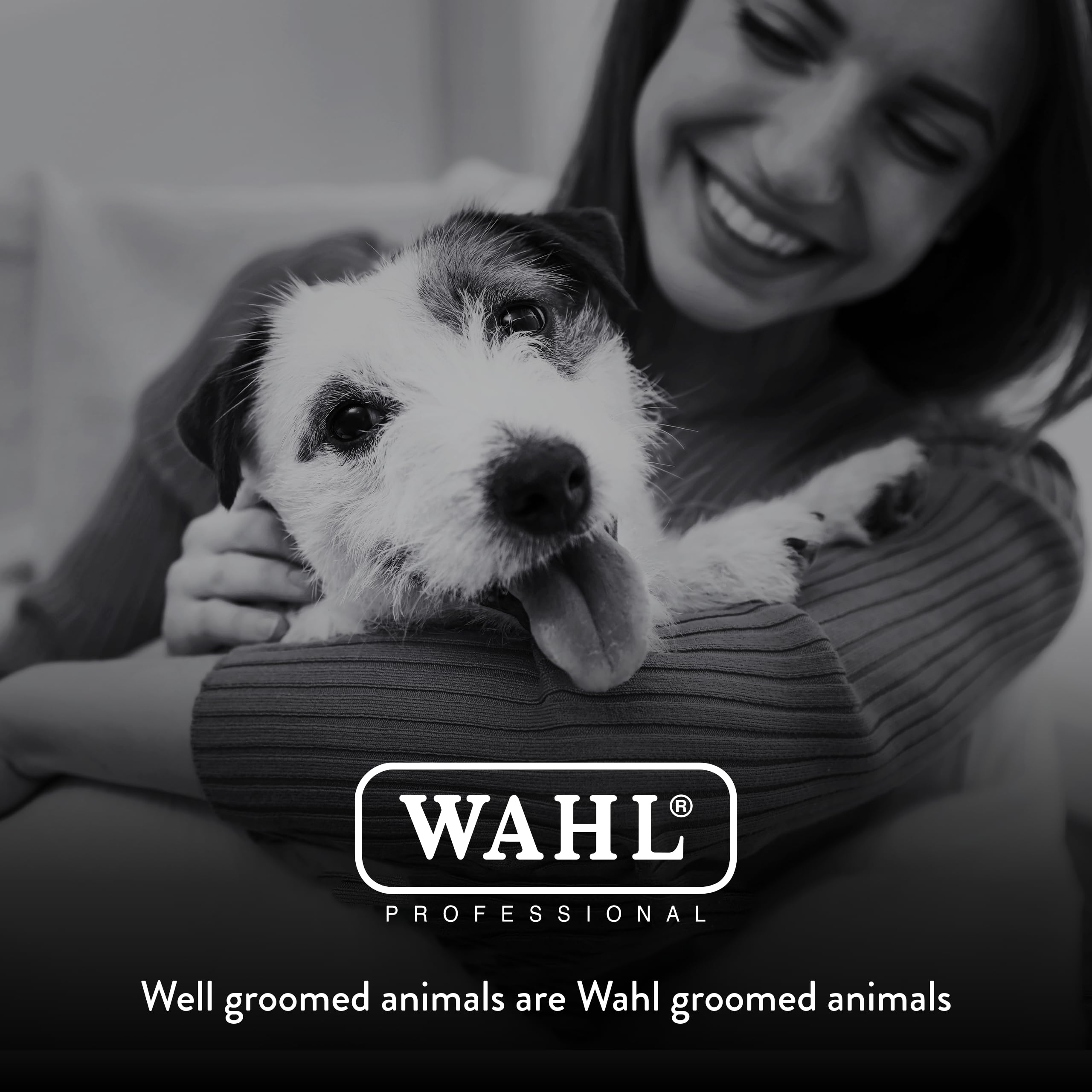 Wahl Arco Pet aceite para cuchilla y manual de instrucciones.
