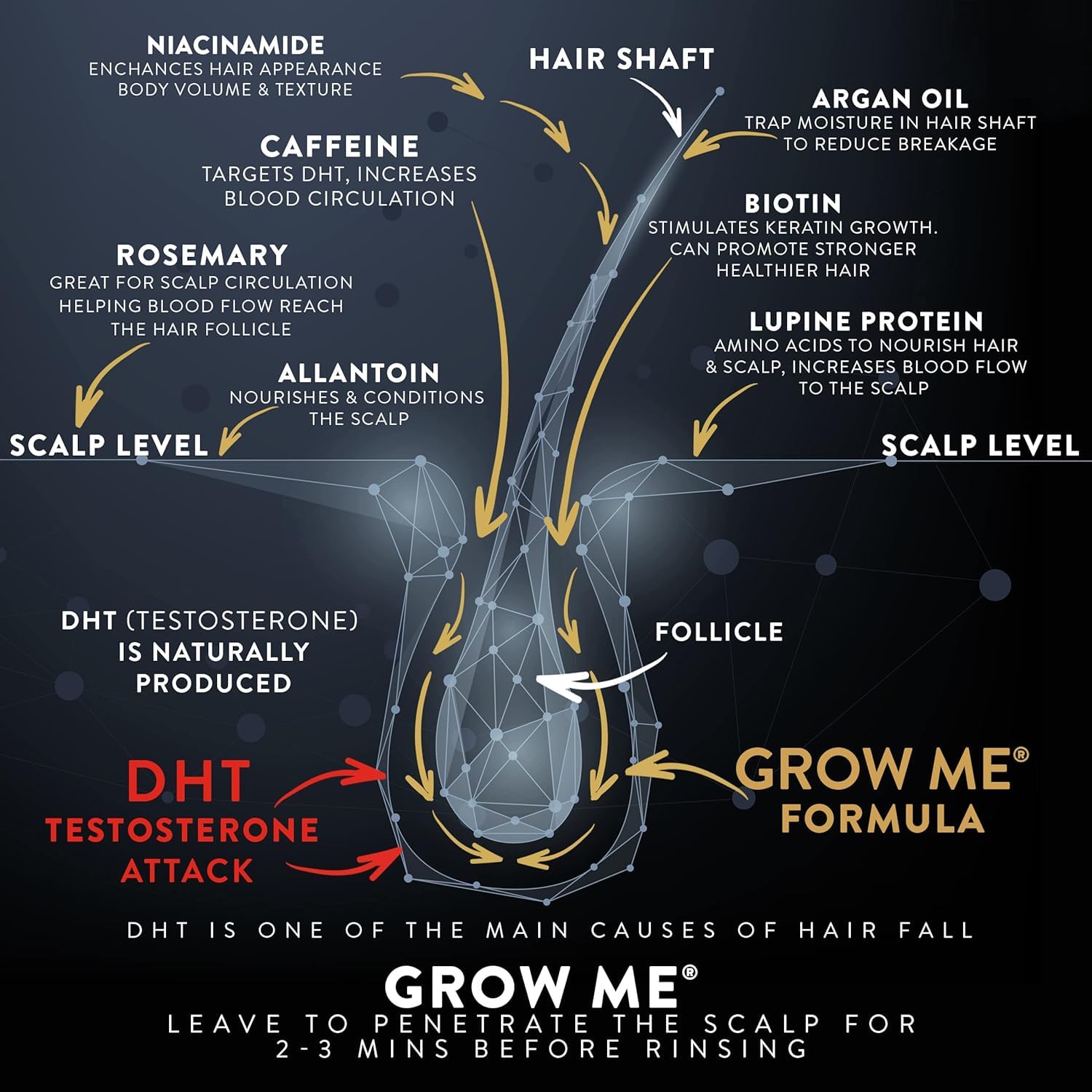 Watermans Grow Me champú, ingredientes clave visibles para el cuero cabelludo y la salud del cabello.