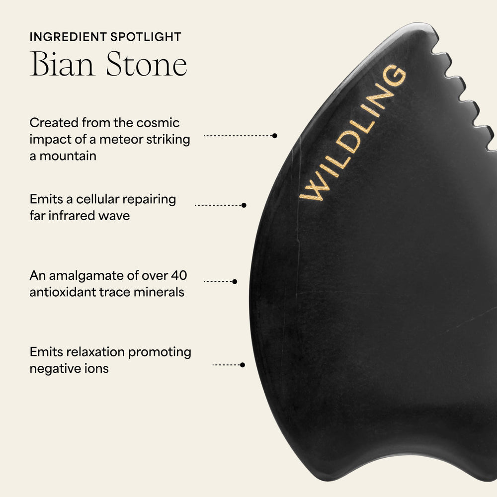 Wildling Empress Stone: propiedades antioxidantes que apoyan el cuidado de la piel