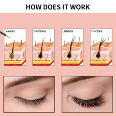 Winxlum serum cejas densidad natural para un marco facial definido.