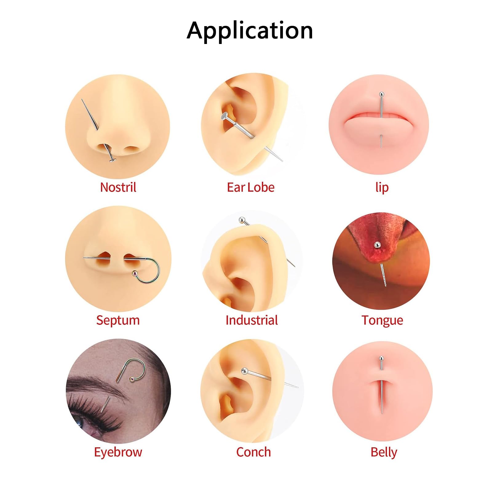 WOLAYI G23 taper sin rosca, uso en labio, inserción controlada.