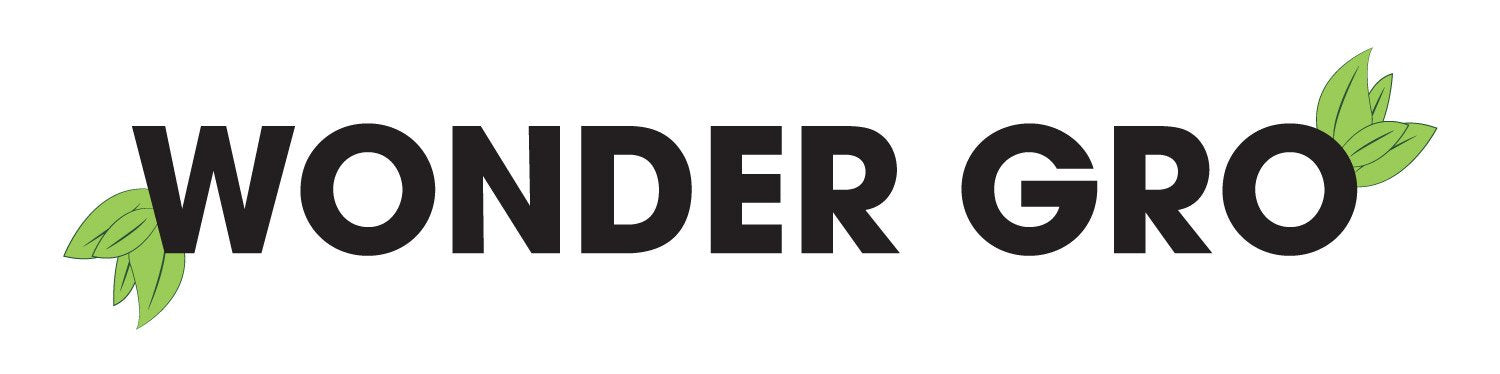 Wonder Gro pomada con cáñamo indio, aplicación en cuero cabelludo para cabello suave.
