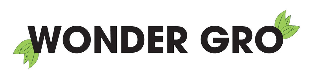 Wonder Gro pomada con cáñamo indio, aplicación en cuero cabelludo para cabello suave.