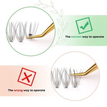 Extensiones WONSIS 10–14 mm, longitudes mixtas para ojos abiertos.