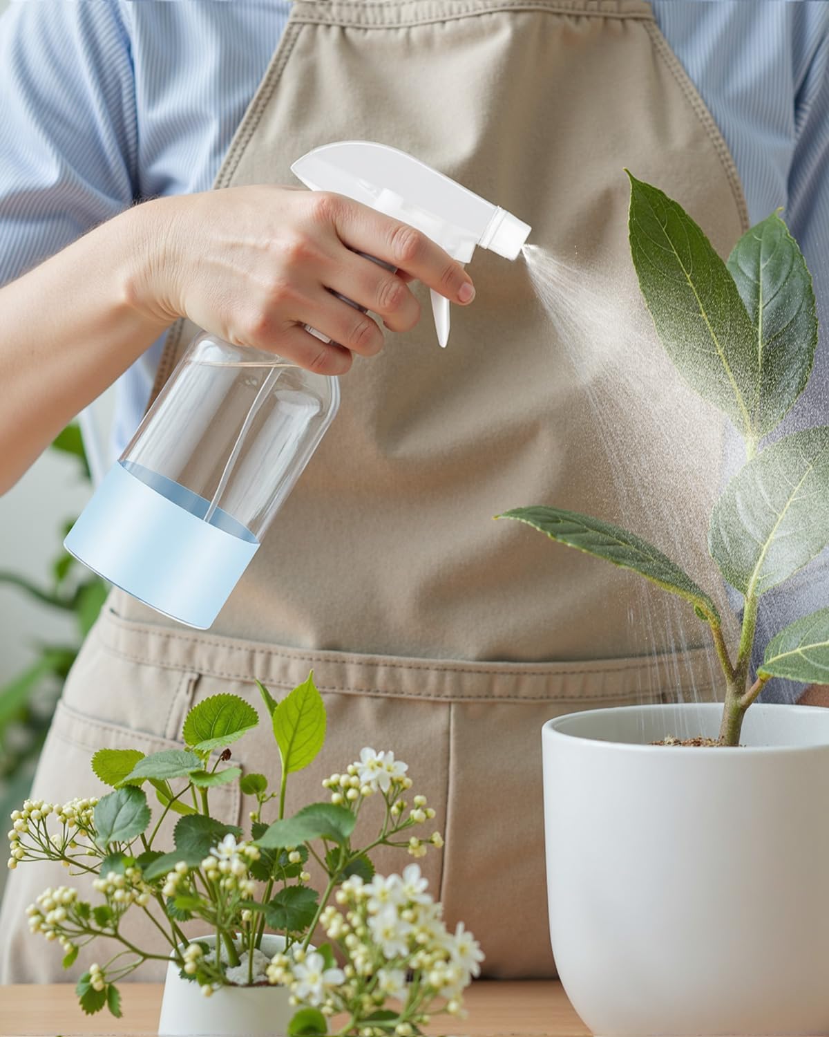 Worldgsb botella vidrio 236 ml, dos unidades para ahorro y organización.