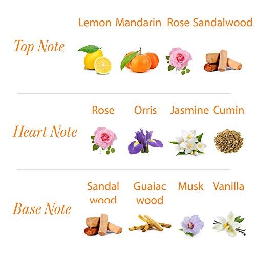 Notas de ámbar y madera que acompañan el aroma.