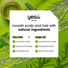 Yes To acondicionador botella con aceite de salvia para cabello suave