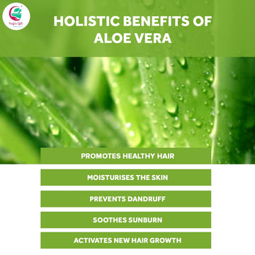 YOGI’S GIFT hidratación tras afeitado Aloe Vera, calma y frescura.