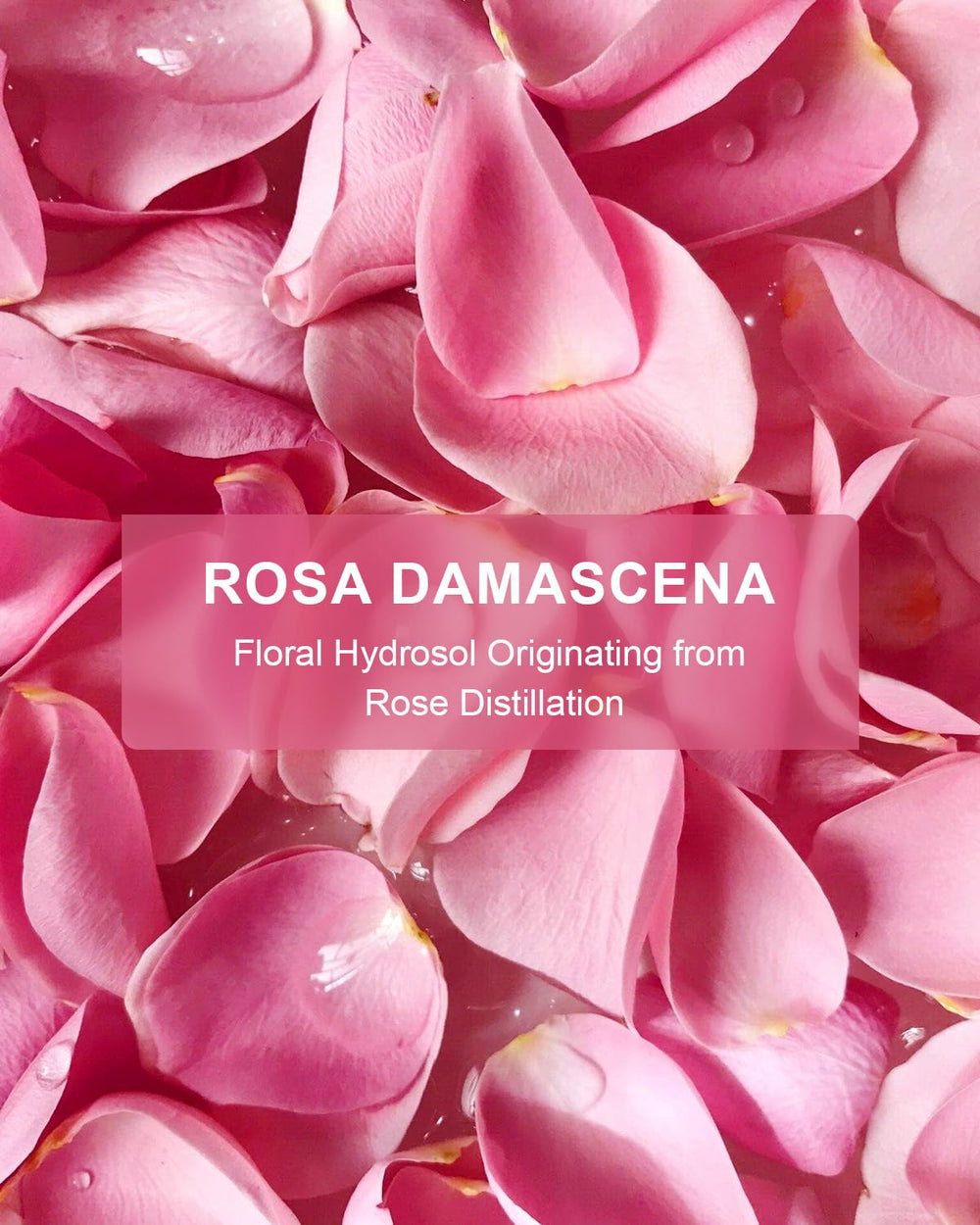 Aromaterapia suave con fragancia natural de rosas