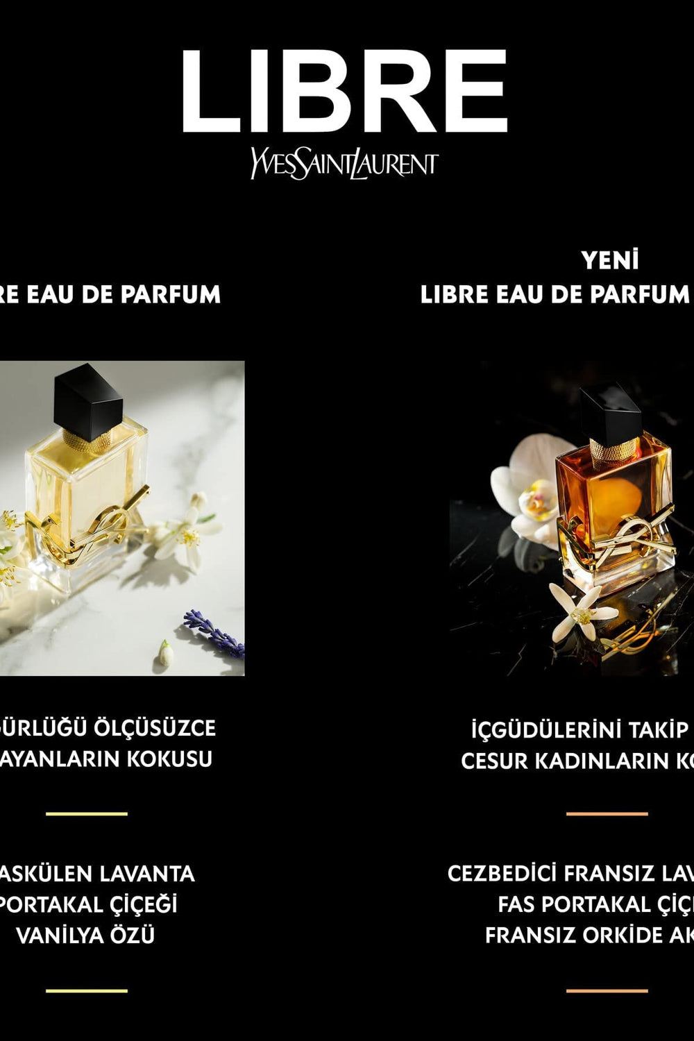 Yves Saint Laurent Libre Intense notas olfativas, experiencia sensorial envolvente.