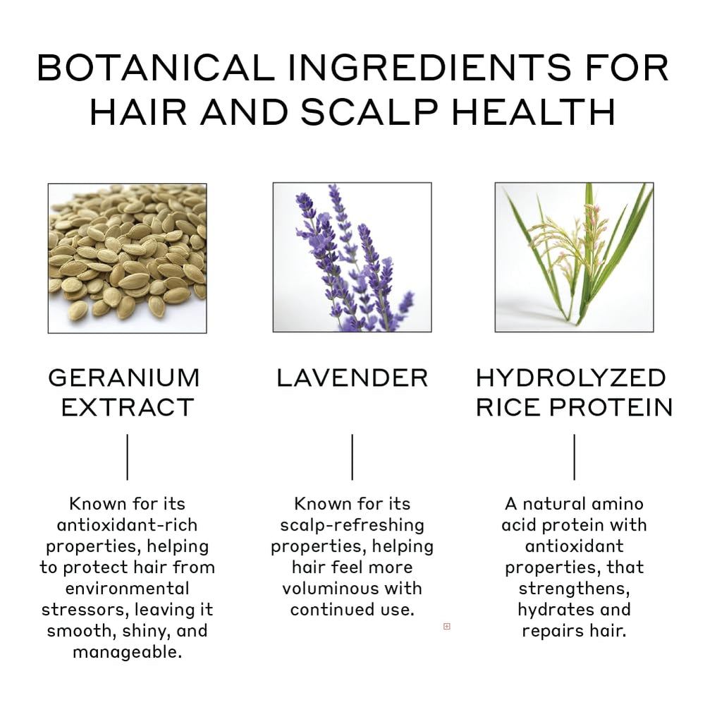 Zenagen Volume Foam, volume et densité: corps naturel pour cheveux plats.